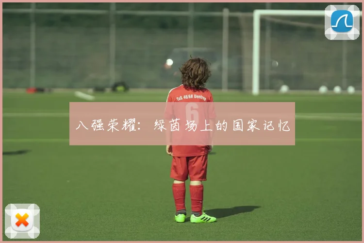 八强荣耀：绿茵场上的国家记忆